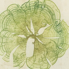 Brilliant Seaweed VIII