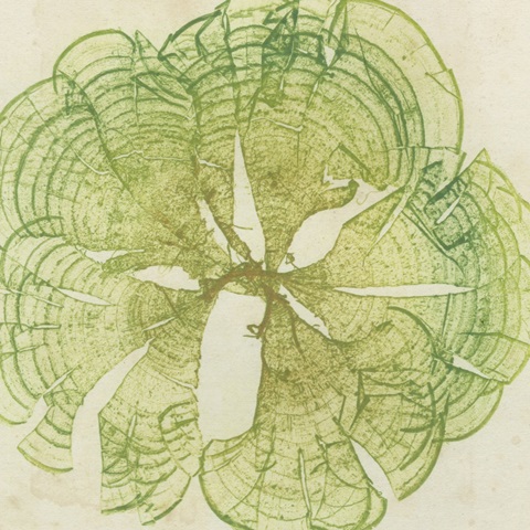 Brilliant Seaweed VIII