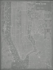 City Map of New York