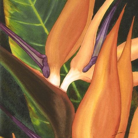 Bird of Paradise Tile I