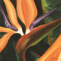 Bird of Paradise Tile IV