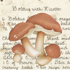 Boletus