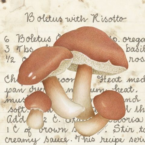 Boletus