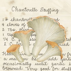 Chanterelle