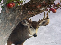Apple Deer