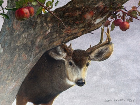Apple Deer