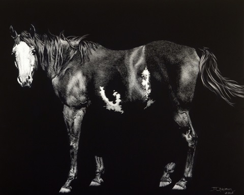 Bald-Faced Broodmare