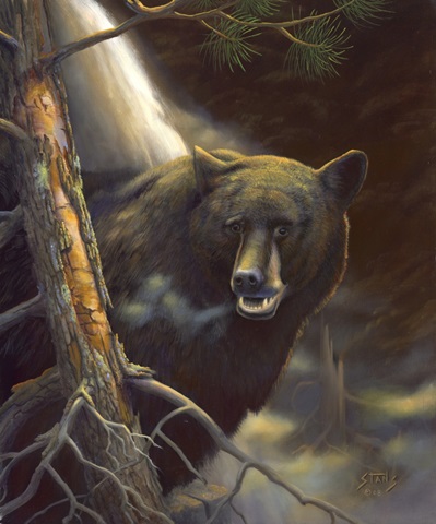 Bear Portrait