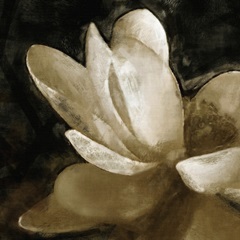 Bronze Lily V