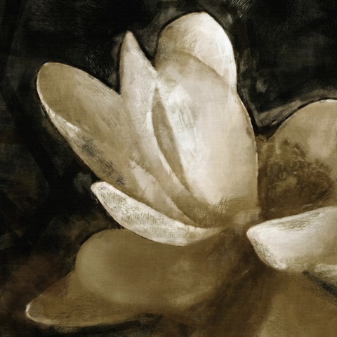 Bronze Lily V