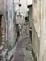 Cobbled Walkway II