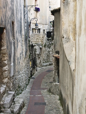 Cobbled Walkway II