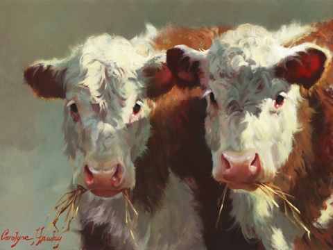 Cow Belles
