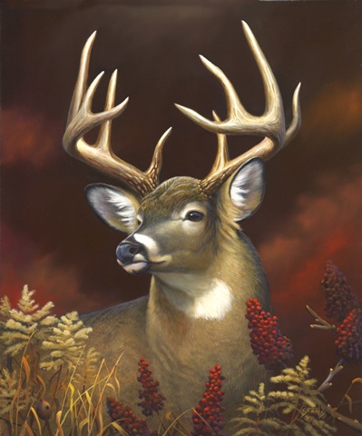 Deer Portrait
