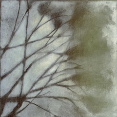 Diffuse Branches II