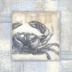 Driftwood Memories II