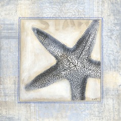 Driftwood Memories IV