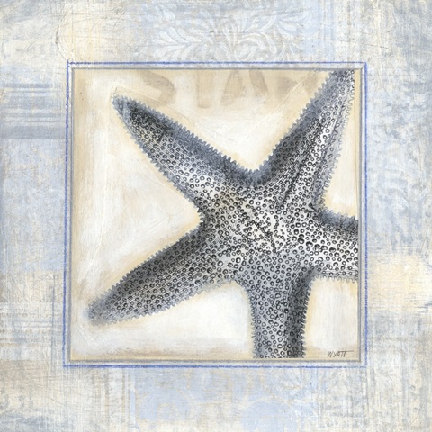 Driftwood Memories IV