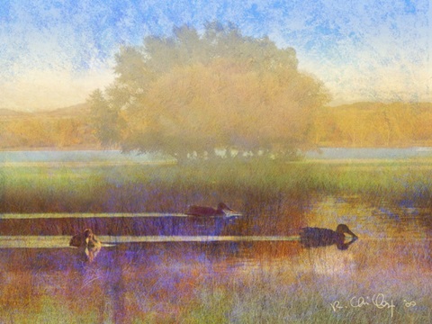 Ducks in Soft Mist