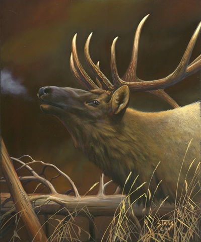 Elk Portrait I