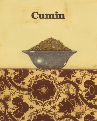 Exotic Spices - Cumin