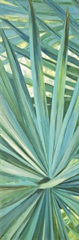 Fan Palm I