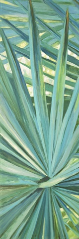 Fan Palm I