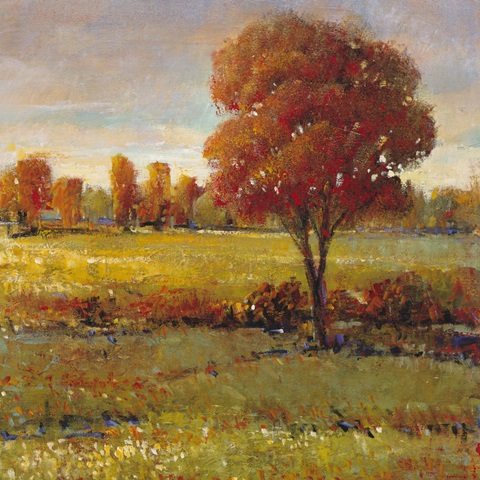 Field in Fall