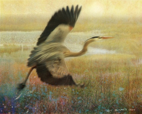 Foggy Heron I