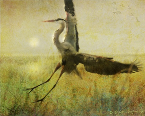 Foggy Heron II