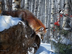 Fox in Winter