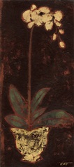 Gilded Orchid I