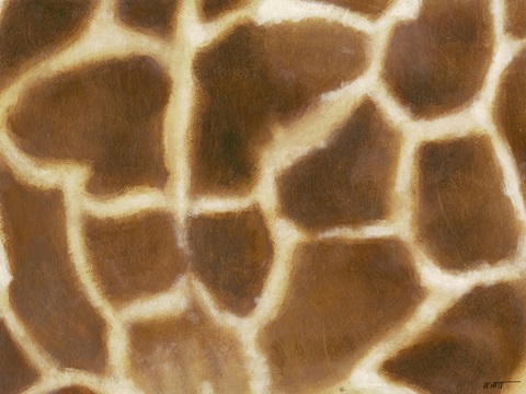 Giraffe II