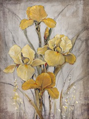 Golden Irises I