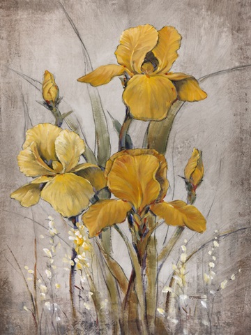 Golden Irises II
