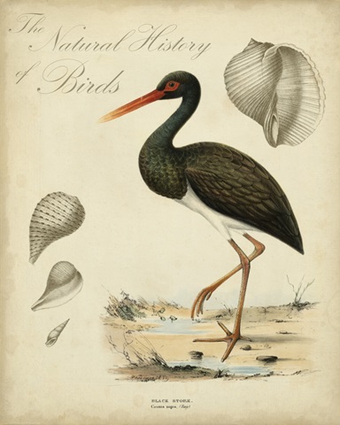 Heron Anthology I