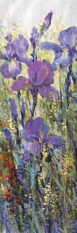 Iris Field I