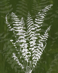 Jewel Ferns I