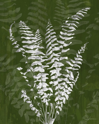 Jewel Ferns I