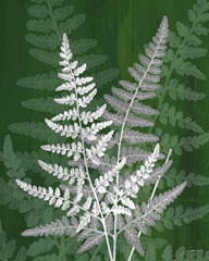 Jewel Ferns IV