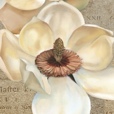 Magnolia Masterpiece I