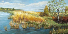 Marsh Edge