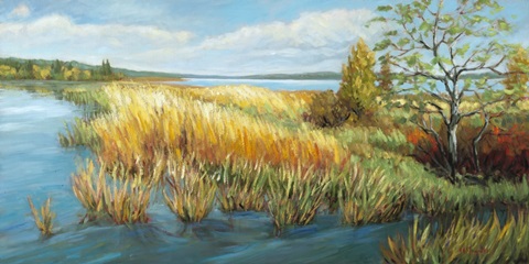 Marsh Edge