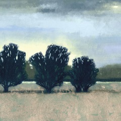 Moonlit Field II