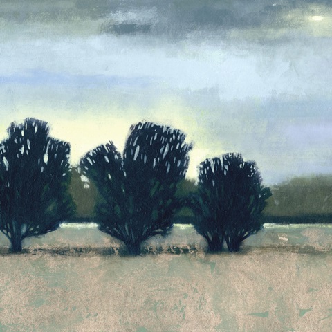 Moonlit Field II