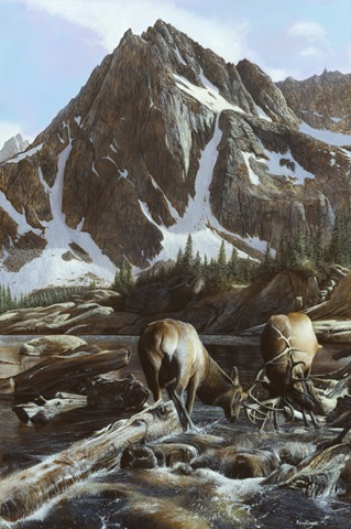 Mountainside Elk II