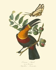 Nature Jardin III