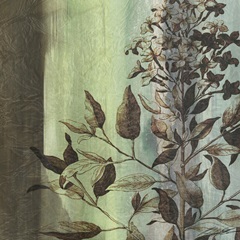Painted Botanical IV