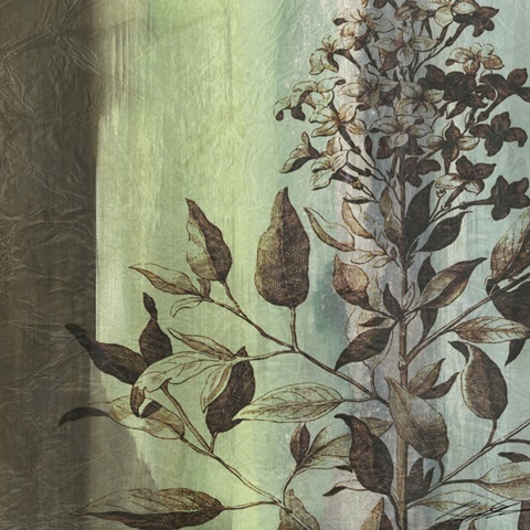 Painted Botanical IV