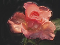 Painterly Flower IV